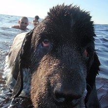En bild s&auml;ger mer &auml;n tusen ord, Balten &auml;r b&auml;st. Foto: Isabell Fritiofsson. &Aring;kare: Min v&auml;n Baltasar.