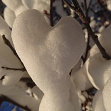 Dagens forhold 23.04.17
Sesongens siste dag, det e.