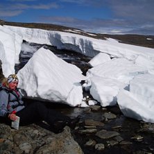 en sk&ouml;n paus p&aring; v&auml;g till bj&ouml;rkis. Foto: Johanna Lindberg. &Aring;kare: Maria Lundin.