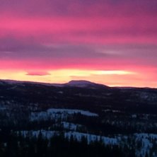 ny fin dag
Skil&oslash;yper preparert og fine faste forh.