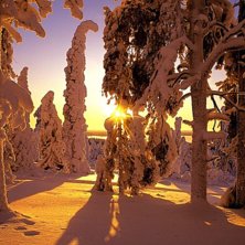 Lyckades hitta denna bilden p&aring; j&auml;tte gammal dato. Foto: Ok&auml;nd.