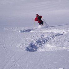 Bara s&aring; g&ouml;tt. Foto: christer nordell. &Aring;kare: Per Johannesson.
