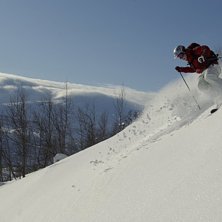 En fager dag. Vad mer kan man beg&auml;ra? En par v&auml;n. Foto: Bengt Luthman. &Aring;kare: Carl-Johan Triumf.