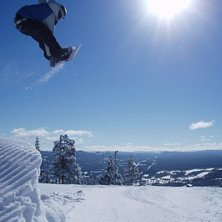 Goa hopp. Foto: Albin w&auml;rnel&ouml;v. &Aring;kare: Kalle blomgren.