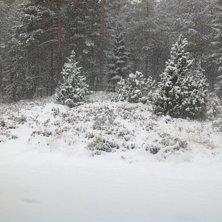 F&ouml;rsta sn&ouml;n vintern 2012/2013, 29 oktober!. Foto: Mountain Man. &Aring;kare: Nobody.