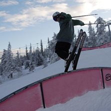 HOOORNBEECCKKKKK. Foto: Joakim Ros&eacute;n. &Aring;kare: Jeppenator.