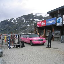 Foto: Johan Sk&ouml;ld. &Aring;kare: Mr Pink.