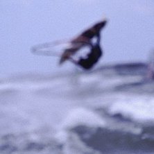 Foto: Mikael Pilstrand. &Aring;kare: Per Nilsson.