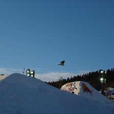 Feedback tack. Foto: M.St&aring;lSj&ouml;berg. &Aring;kare: J.Wester.