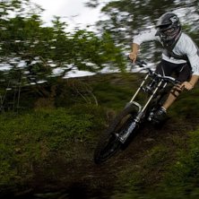 K&ouml;tta berm.. Foto: Simon Berggren. &Aring;kare: Erik Nyberg.