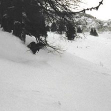 Foto: Bj&ouml;rn Petterson. &Aring;kare: Kristian Lidin.