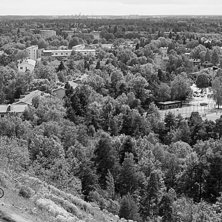 Herman hissar under DH t&auml;vlingen i Hammarby bike . Foto: Jesper Molin. &Aring;kare: Herman &Ouml;lund.