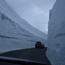 Foto: Marcus Dahll&ouml;f.