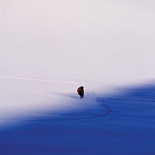 Foto: Endre L&oslash;vaas. &Aring;kare: Eric Pollard.