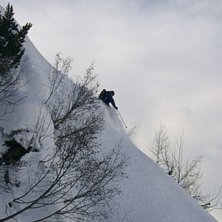Foto: Magnus Forssell. &Aring;kare: Erik Widmark.