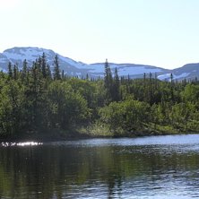 Home Sweet Home. Foto: Joel.