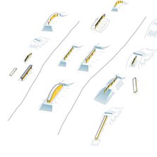 Mitt bidrag till Parkslaget. 
http://shredsauce.c.