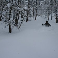 Foto: Bj&ouml;rn Gannsj&ouml;.