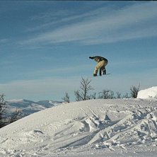 En litet hopp i kungligt v&auml;der... Foto: Pernilla K. &Aring;kare: Robert A.