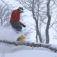 Foto: Stefan Brod&eacute;n. &Aring;kare: Stefan Lundin.