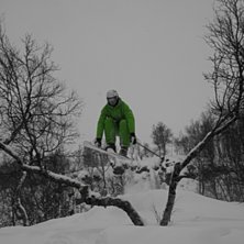 Skogsparken. Foto: Emma Gillingsj&ouml;. &Aring;kare: Rasmus Bergqvist.
