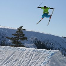 Fuling. Foto: Sandra Dejin. &Aring;kare: Carl-Philip Fredborg.