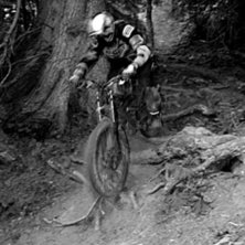 Foto: Roger Hansson. &Aring;kare: Robert Ryttse.