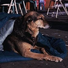 Foto: Juha Laine. &Aring;kare: Heps.