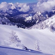 Foto: Juha Laine. &Aring;kare: Arska Saarim&auml;ki.