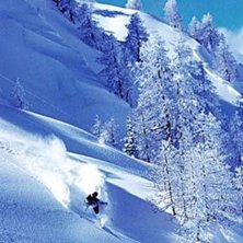 Foto: Juha Laine. &Aring;kare: Arska Saarim&auml;ki.