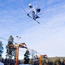 Foto: Andreas Timf&auml;lt / SwedenProPhoto.