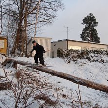 min 10m tr&auml;storck hemma hos mig!! kul dag me osk. Foto: pappi. &Aring;kare: jag.