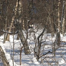 Foto: Magnus Marklund. &Aring;kare: Andr&eacute; R&ouml;nnlund.