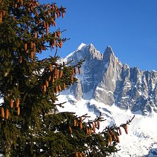 Grymt !. Foto: Peter Stenquist. &Aring;kare: Granen !.