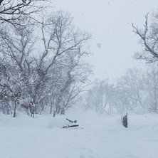 JaPOW :). Foto: Tom Karlsson. &Aring;kare: Joakim Wadberg.