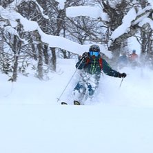 Puder i gles skog med Per Powder Paradise - kan ve.