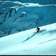 me, cruisin&amp;#039;. Foto: thomas rambekk. &Aring;kare: vegatrd lilleheil.