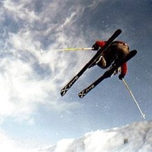 Ville f&aring; undersidan mot kameran, s&aring; vrider upp s. Foto: Thomas Nisbel. &Aring;kare: Peter Nilimaa.