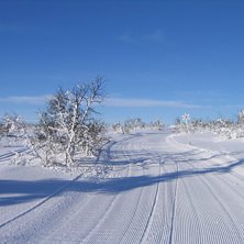 Sp&aring;ret nedanf&ouml;r Bj&ouml;rnrennet, mot Gl&ouml;t&aring;svallen. Foto: Daniel Rapp.