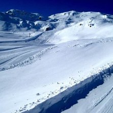 Fin dag, 80 cm puder or&ouml;rt.. Foto: Petteri Koste. &Aring;kare: Serre chevaliere.
