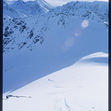 N&aring;gra goa sv&auml;ngar, synd p&aring; apsp&aring;ren i skuggan . Foto: Bj&ouml;rn Michaelsen. &Aring;kare: Jonas Bergman.