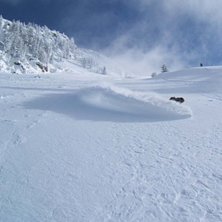 Foto: Bj&ouml;rn Asplund. &Aring;kare: Teo Ros&eacute;n.