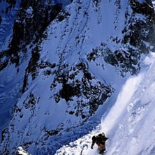 Foto: Halvor Dannevig. &Aring;kare: Olav Haavik.