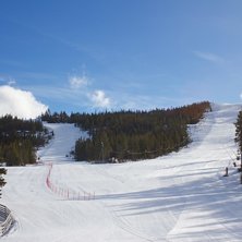 P&aring;sken er godt i gang
P&aring;sken er godt i gang, og .