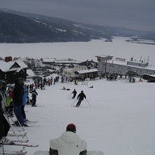 Tott,. Foto: Paka. &Aring;kare: Ganska m&aring;nga.