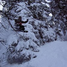 Foto: Bosse Granqvist. &Aring;kare: Lars Granqvist.
