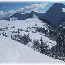 Foto: Gustav &Auml;ngermark. &Aring;kare: Erik Larsson.