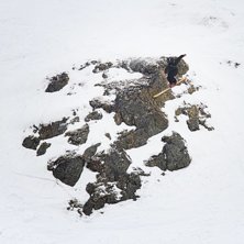 NM i Gr&auml;nsen 2014.