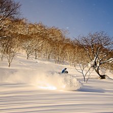 Foto: Johan Karlsson. &Aring;kare: Tomas Halvarsson.