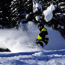 Foto: Andreas Bryngel. &Aring;kare: Algot Olsen (jag).